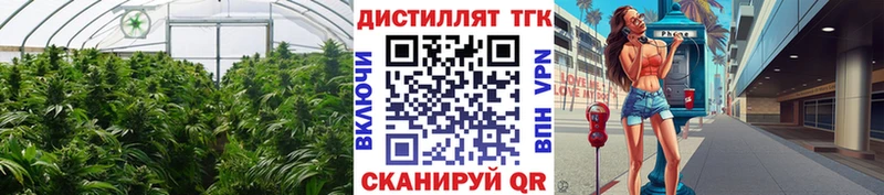 Дистиллят ТГК концентрат  кракен   Буинск 