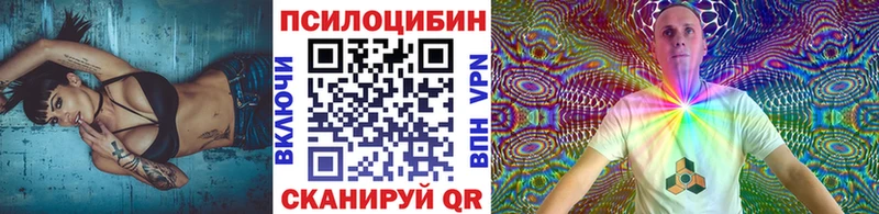 Псилоцибиновые грибы Cubensis Буинск